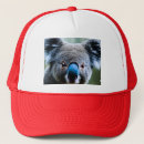 Zoek naar koala petten Beer