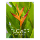 Zoek naar bloemist posters Plant
