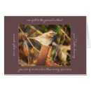 Zoek naar mussen briefkaarten Maas