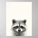 Zoek naar wasbeer posters Tekening