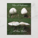 Zoek naar verschil briefkaarten Elk persoon