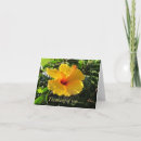 Zoek naar hibiscus kaarten Bloem