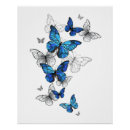 Zoek naar vlinders en motten posters Blauw