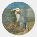 Zoek naar reiger stickers Natuur