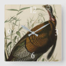 Zoek naar wilde vogels klokken Illustratie
