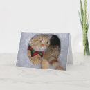 Zoek naar maas kaarten Sneeuwvlok