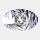 Zoek naar witte tijger stickers Wilde kat