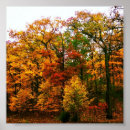 Zoek naar herfstboom posters Bomen
