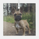 Zoek naar french bulldog ornamenten Frenchie