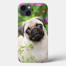 Zoek naar pug dog iphone hoesjes Dier