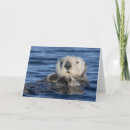 Zoek naar zee otters kaarten Schattig