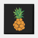 Zoek naar ananas magneten Plezier