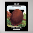 Zoek naar bieten posters Tuin