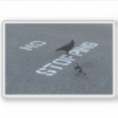 Zoek naar kraai stickers Humor