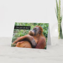 Zoek naar gekke aap kaarten Grappig