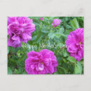 Zoek naar mooie natuur briefkaarten Roze bloemen