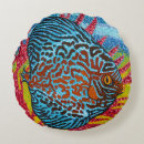 Zoek naar zeewier kussens Tropisch