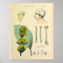 Zoek naar vintage geneeskunde posters Anatomie