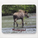 Zoek naar eland muismatten Natuur