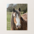 Zoek naar paarden puzzels Schattig
