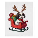 Zoek naar hond shih tzu posters Grappig
