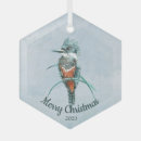 Zoek naar ijsvogel ornamenten Vogels