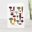 Zoek naar biet kaarten Groente