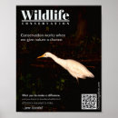 Zoek naar wildlife posters Natuur
