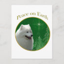Zoek naar samoyed briefkaarten Ras