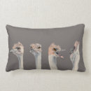 Zoek naar struisvogel kussens Grappig