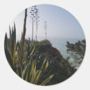 Zoek naar algarve stickers Ocean