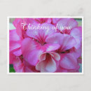Zoek naar geranium briefkaarten Botanisch