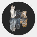 Zoek naar spiegel stickers Schattig