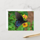 Zoek naar butterfly briefkaarten Tuin