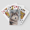 Zoek naar siberisch speelkaarten Sneeuwhond