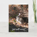 Zoek naar konijn beterschapskaarten Bunnies