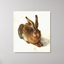 Zoek naar durer konijn kunst Waterverf