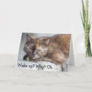 Zoek naar wakker kaarten Grappige verjaardagskaart