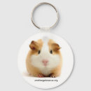 Zoek naar cavia accessoires Varkens