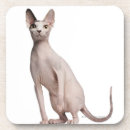 Zoek naar sphynx onderzetters Schattig