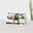Zoek naar parkbank posters Puppy