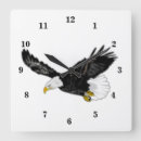 Zoek naar eagle klokken Voor hem