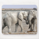 Zoek naar olifant muismatten Dieren