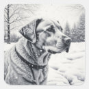 Zoek naar zwart witte hond stickers Labrador