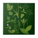 Zoek naar herb tegels Rozemarijn