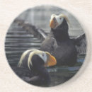 Zoek naar wildlife onderzetters Vogel