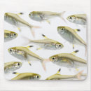 Zoek naar fish muismatten Zwemmen