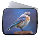 Zoek naar vrouwen laptop sleeves Blauw
