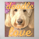 Zoek naar golden doodle kunst Voor iedereen
