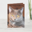 Zoek naar wensen van de kat verjaardagskaarten Voor iedereen